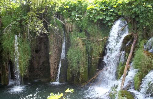 Apartments Božić - Foto 63