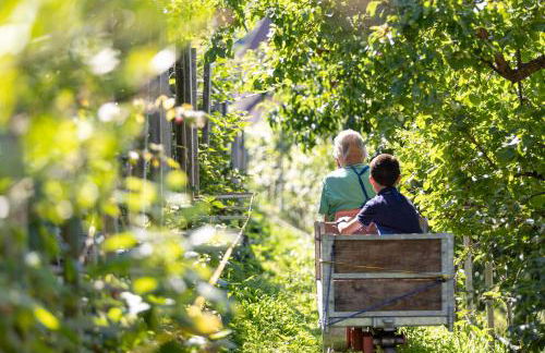 Ladurnerhof Boutique Apartments Meran - Photo 20