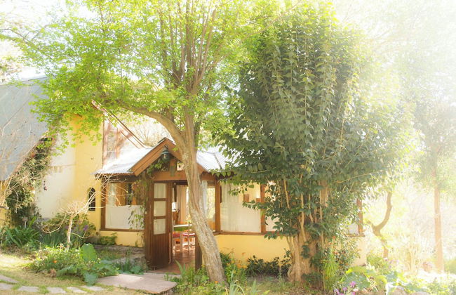 Apart Suites & Cabañas Duendes del Pungo - Foto 30