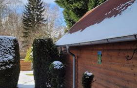 Apartment in ruhiger Südvorstadt - Foto 22