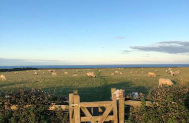 Characterful cottage near Tintagel and coast path - Foto 11