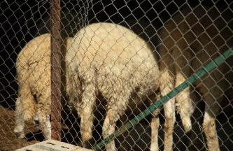 Agriturismo Le Forre del Treja (La Villa) - Foto 46
