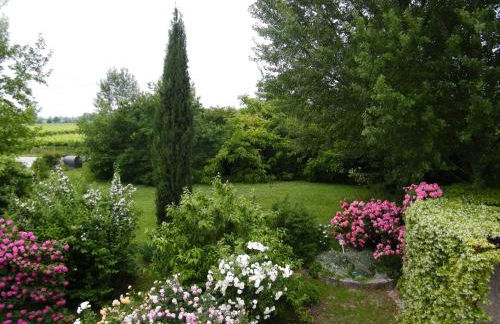 Il nido di rondine - Photo 25