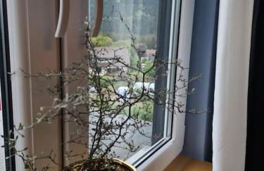 Gruppenhaus mit Grillkota für 16 Personen in Hahnenklee - Foto 26