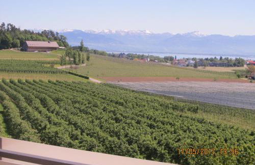 Landhaus Erben - Foto 16