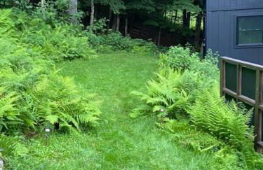 Fireplace Catskill Views Overlook Lake Cabin - Foto 22