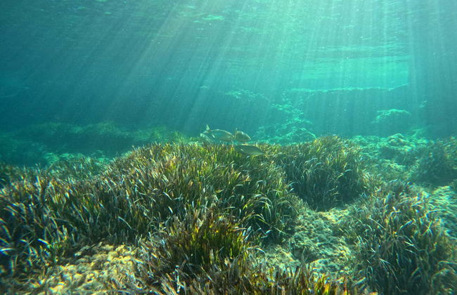 Bautismo de buceo en Cala’n Bosch - Foto 4