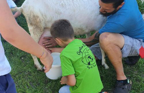 Agritur Maso Piasina - Photo 10