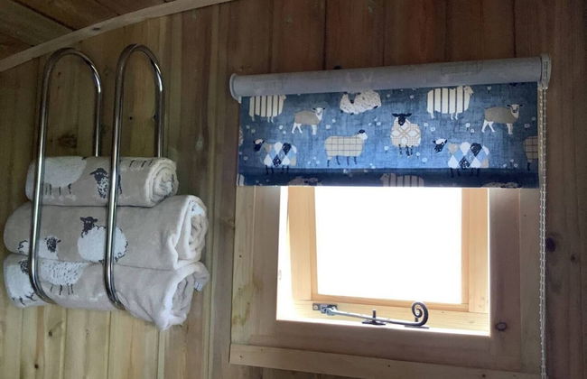 The Shepherds Hut at Hafoty Boeth - Foto 21