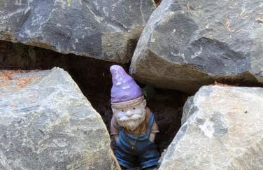 Gnome Home - Foto 7