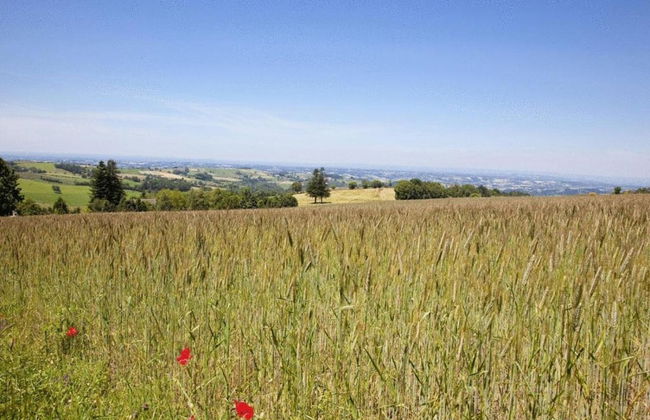 Holiday Home Near Lake and Leisure in Clos du Bannet - Photo 29