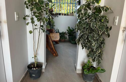 Residencial Jasmim Apto Standard 03 - Foto 6