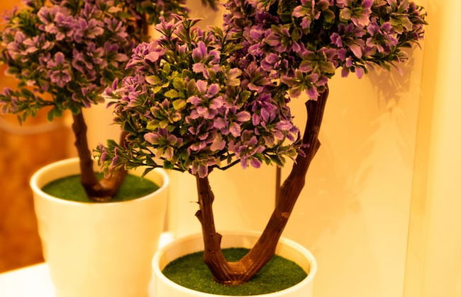 Bivalvia Apartments - Foto 54