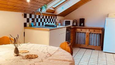 Odw homes - Large country house with three apartments and garden - Foto 5