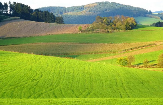 Ferienhaus Schmallenberg Nahe Skibus - Foto 35