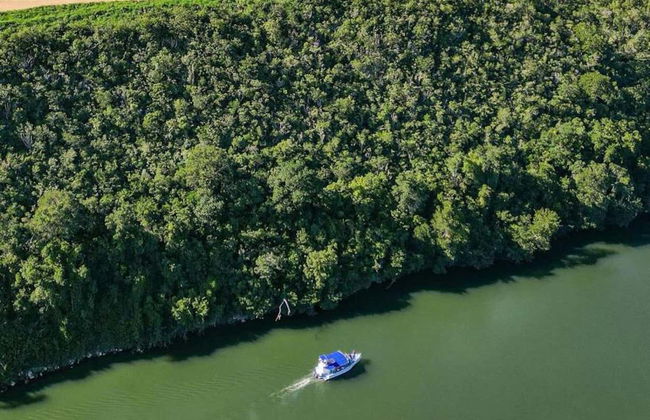 Catalina Island & Chavon River Day Trip - Foto 15