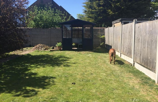 Beautiful 3-bed House in Ramsgate - Photo 24