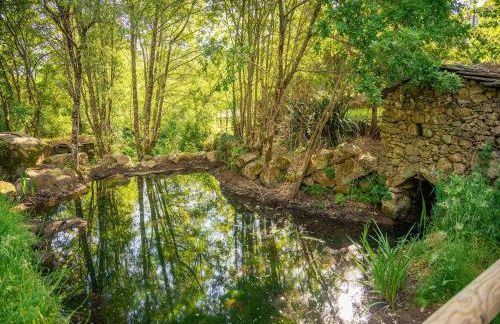 Casa do Abade - Country House - Photo 28