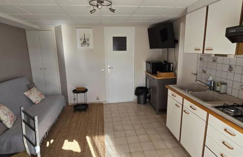 Charmant appartement 35 m2 avec terrasse et jardin - Foto 5