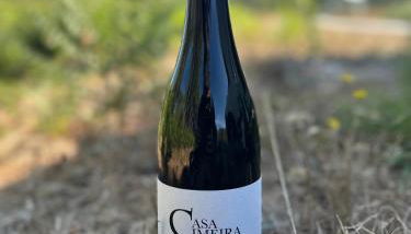 Quinta da Casa Cimeira, Guest House, Wines & Food - Foto 5