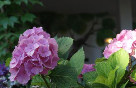 Agriturismo Le Sughere - Foto 48