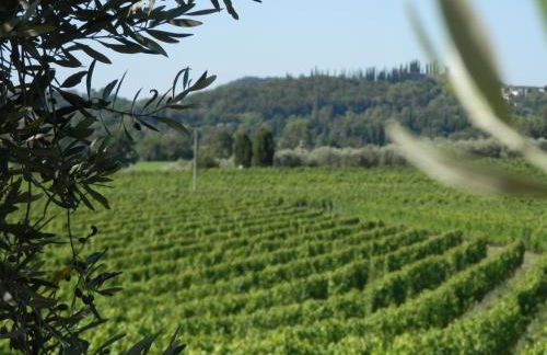 Agriturismo Fioralba - Photo 56