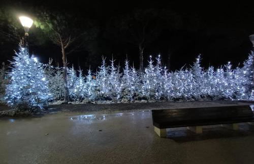 T2 cabine avec très belle vue sur le port de plaisance - Foto 40