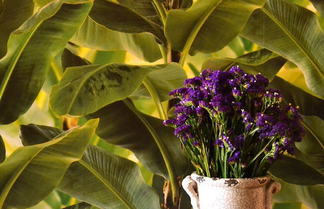 ApartHotel Altamira - Photo 2