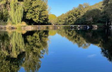 Sweet Quintanilha - Foto 25