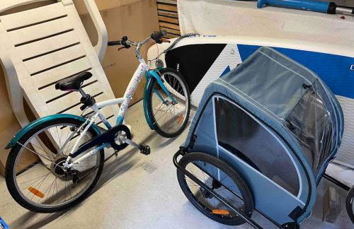 Maison proche du lac de Sanguinet et de Biscarrosse - Foto 11