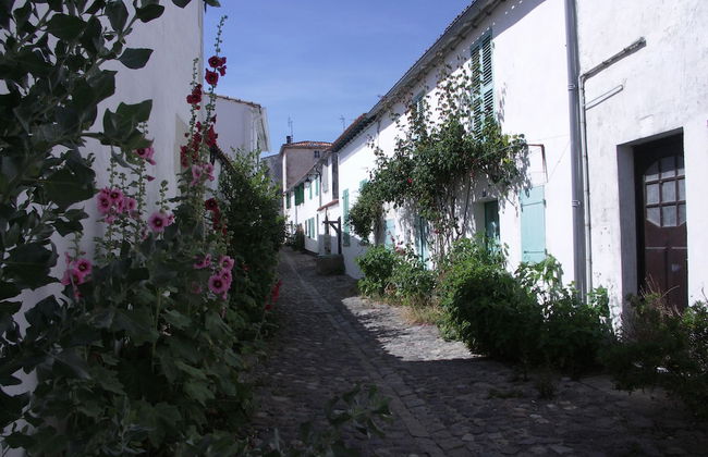 Maison Antioche - Foto 13