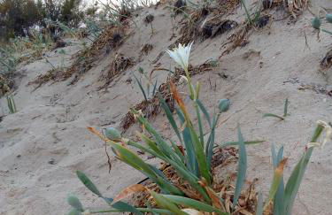 Casa Maria - Foto 25