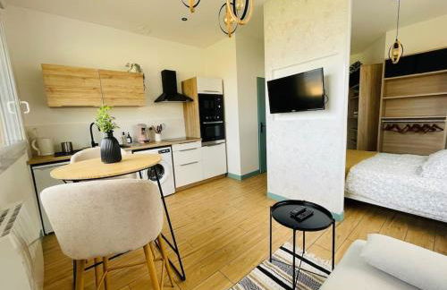 Studio Ô terrasses de Virieu - Foto 1