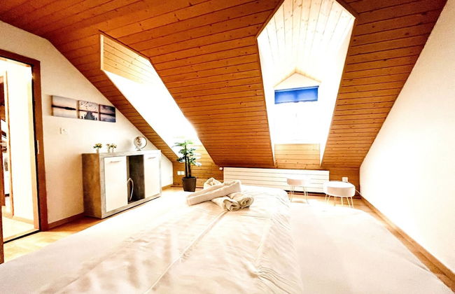 Einzigartige Schöne Altbau- Wohnung Im Zentrum - Foto 6