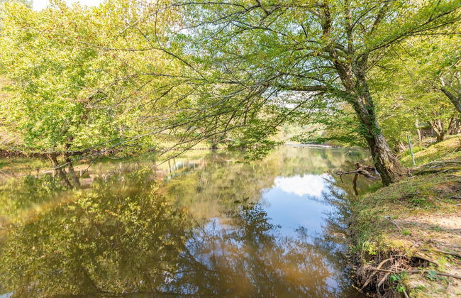 The Treehouse - Foto 43