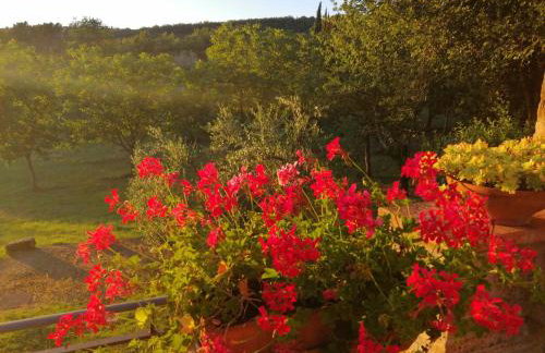 Agriturismo Sommassa - Foto 35