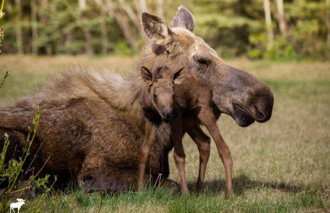Excursión al Círculo Polar Ártico - Foto 2