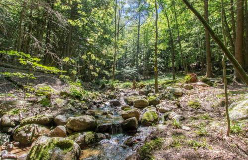 Spectacular Vermont Mountain Retreat! - Foto 33