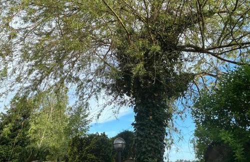 Pod Wierzbą Apartament na Kaszubach - Foto 24