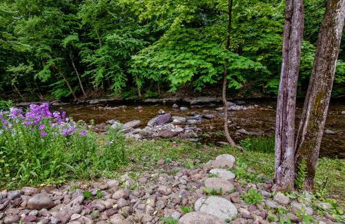 Cabin by the Creek with private creek access - Foto 27