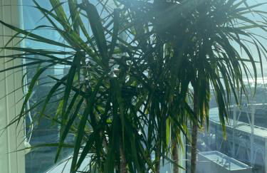 Luxury Designer Suite with Rooftop Pool, Gym - Foto 29