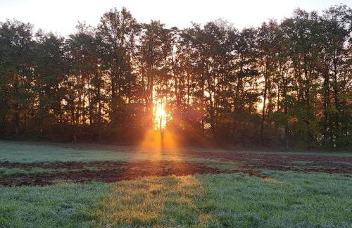 Ferienwohnungen Zum Hasenbahnhof - Foto 11