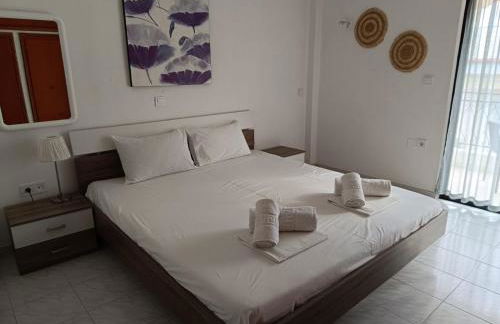 ARTEMIS and FILLO - Photo 25