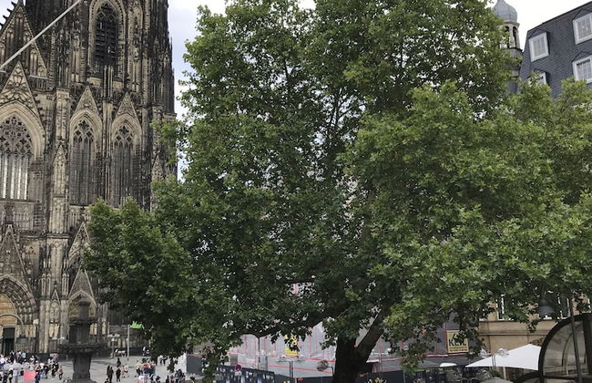 City Apartment am Dom - Foto 14