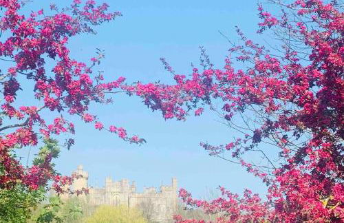 Beautiful 18th century cottage in Arundel - Foto 15