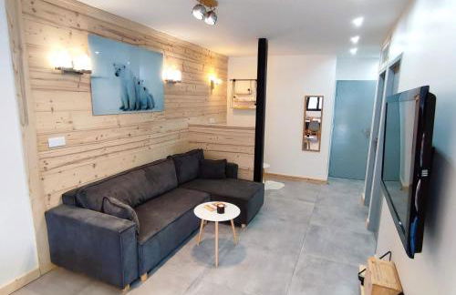 Le Bois Cosy appartement 4 étoiles 6 personnes, ACCES SKI ALPE D'HUEZ GRAND DOMAINE A 3 K M - Foto 73
