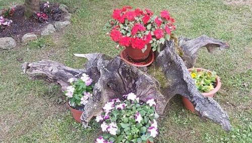 Casa Rural Juntana - Foto 5