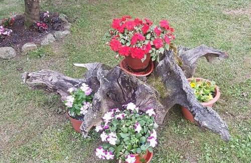 Casa Rural Juntana - Foto 5