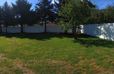 Photo Op with Sasquatch 2 min to walk Silver Mtn - Foto 43