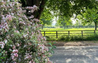 Cotswolds Retreat - Foto 34